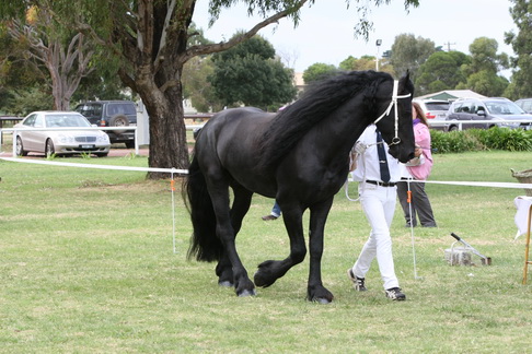 Picture_1928_resize