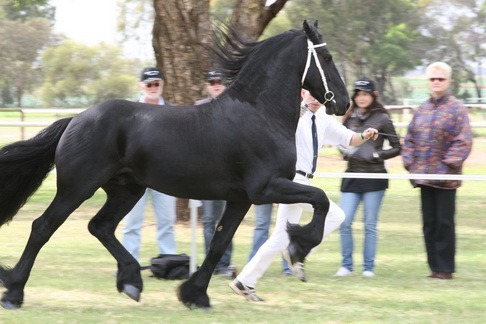 Keuring 2011