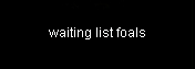 waiting list foals